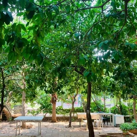 Denize Yakın, Ferah Antalya