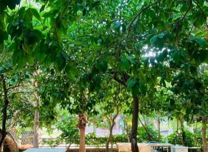 Denize Yakin, Ferah Αττάλεια